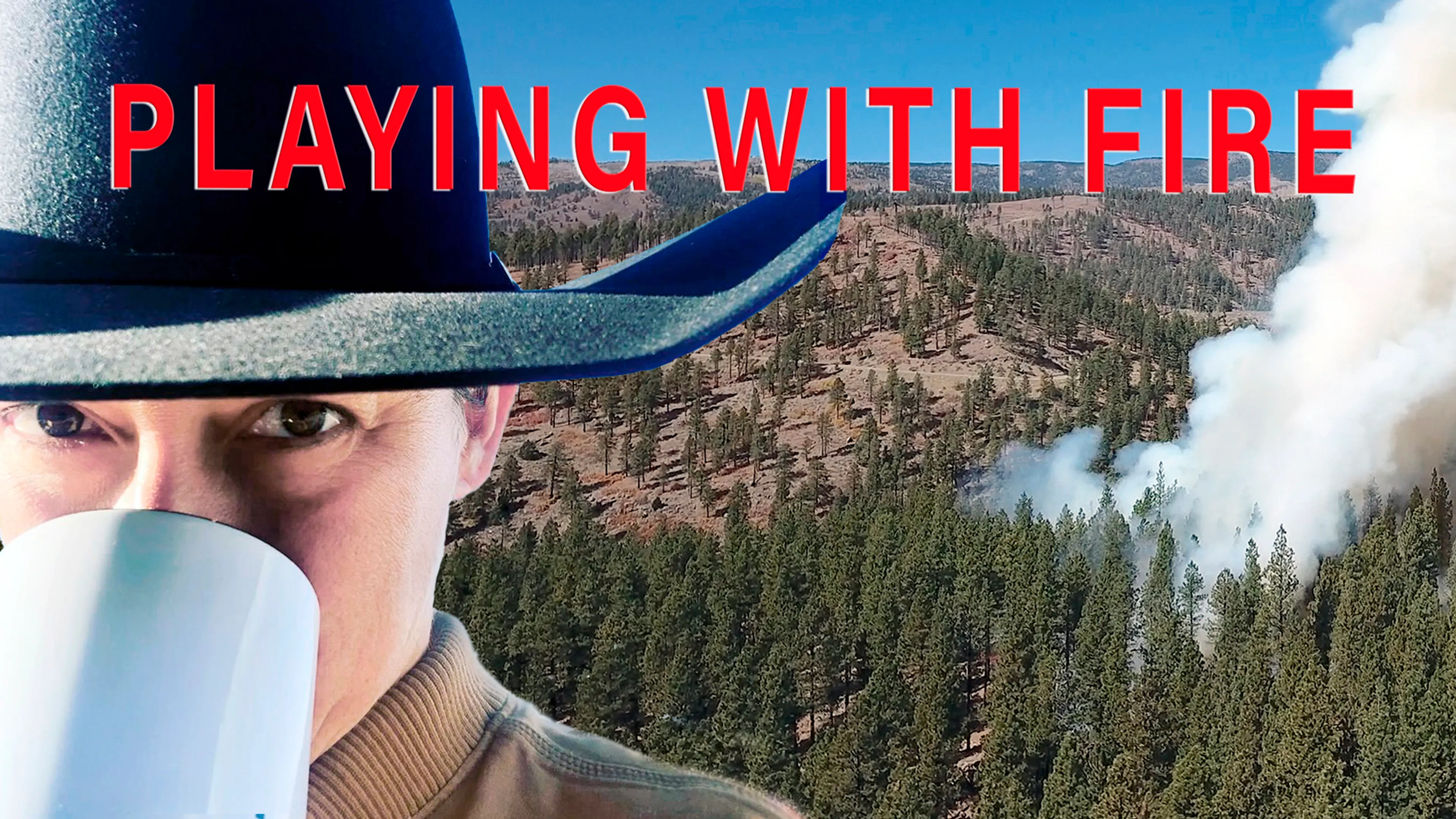 Playing with Fire poster